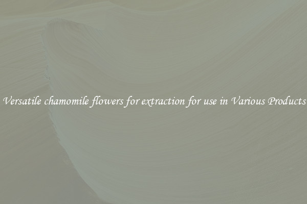 Versatile chamomile flowers for extraction for use in Various Products