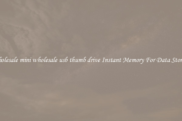 Wholesale mini wholesale usb thumb drive Instant Memory For Data Storage