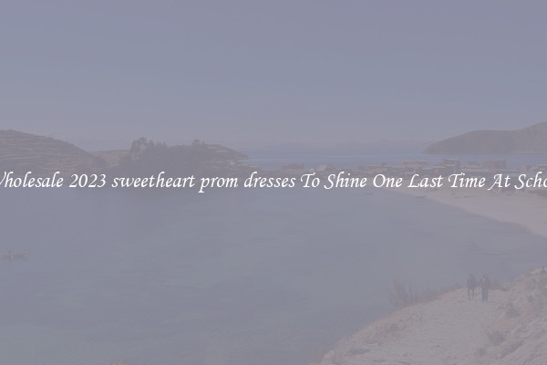 Wholesale 2023 sweetheart prom dresses To Shine One Last Time At School