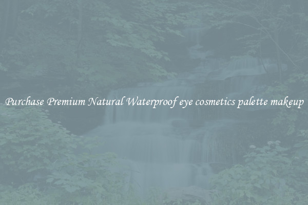 Purchase Premium Natural Waterproof eye cosmetics palette makeup