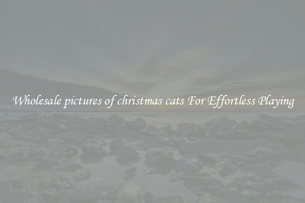 Wholesale pictures of christmas cats For Effortless Playing