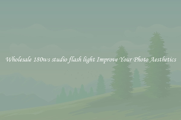 Wholesale 180ws studio flash light Improve Your Photo Aesthetics