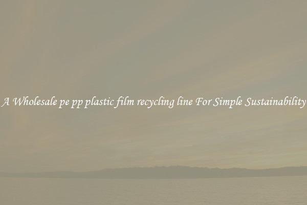  A Wholesale pe pp plastic film recycling line For Simple Sustainability 