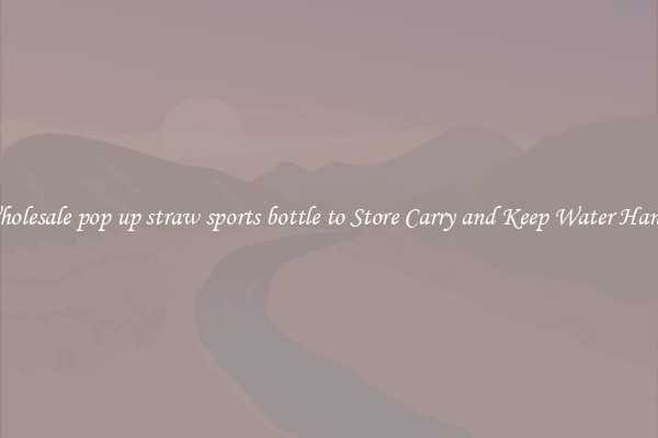 Wholesale pop up straw sports bottle to Store Carry and Keep Water Handy