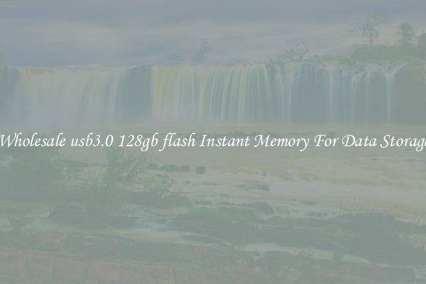 Wholesale usb3.0 128gb flash Instant Memory For Data Storage