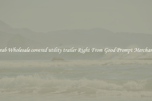 Grab Wholesale covered utility trailer Right From Good Prompt Merchants