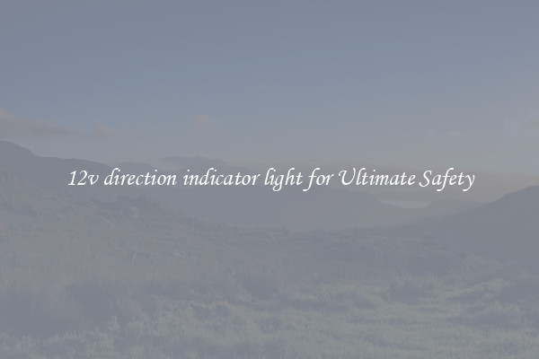 12v direction indicator light for Ultimate Safety