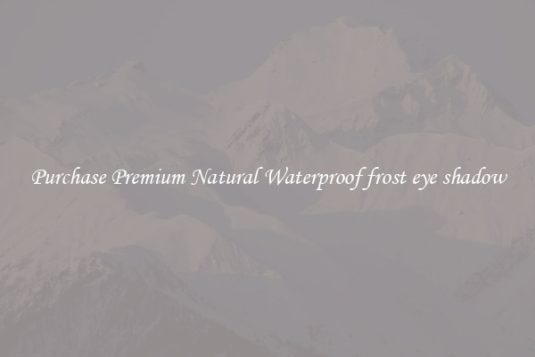 Purchase Premium Natural Waterproof frost eye shadow