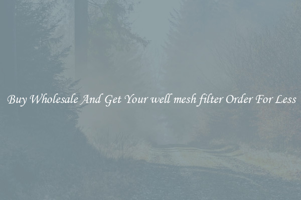 Buy Wholesale And Get Your well mesh filter Order For Less