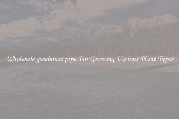 Wholesale greehouse pipe For Growing Various Plant Types