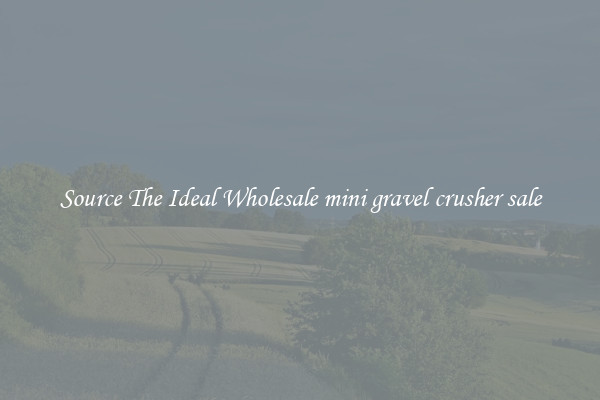 Source The Ideal Wholesale mini gravel crusher sale