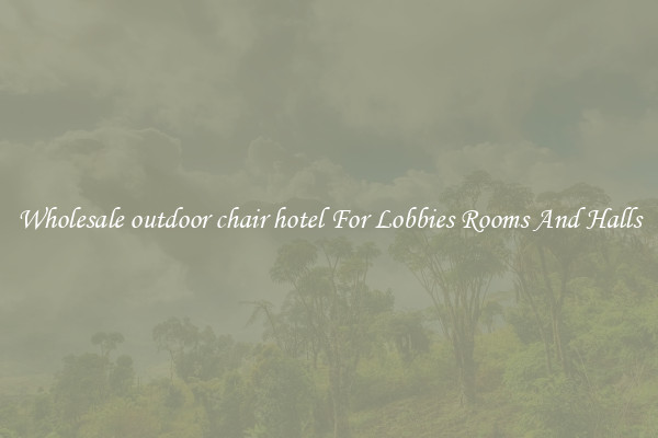 Wholesale outdoor chair hotel For Lobbies Rooms And Halls