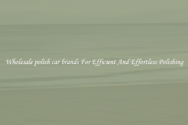 Wholesale polish car brands For Efficient And Effortless Polishing